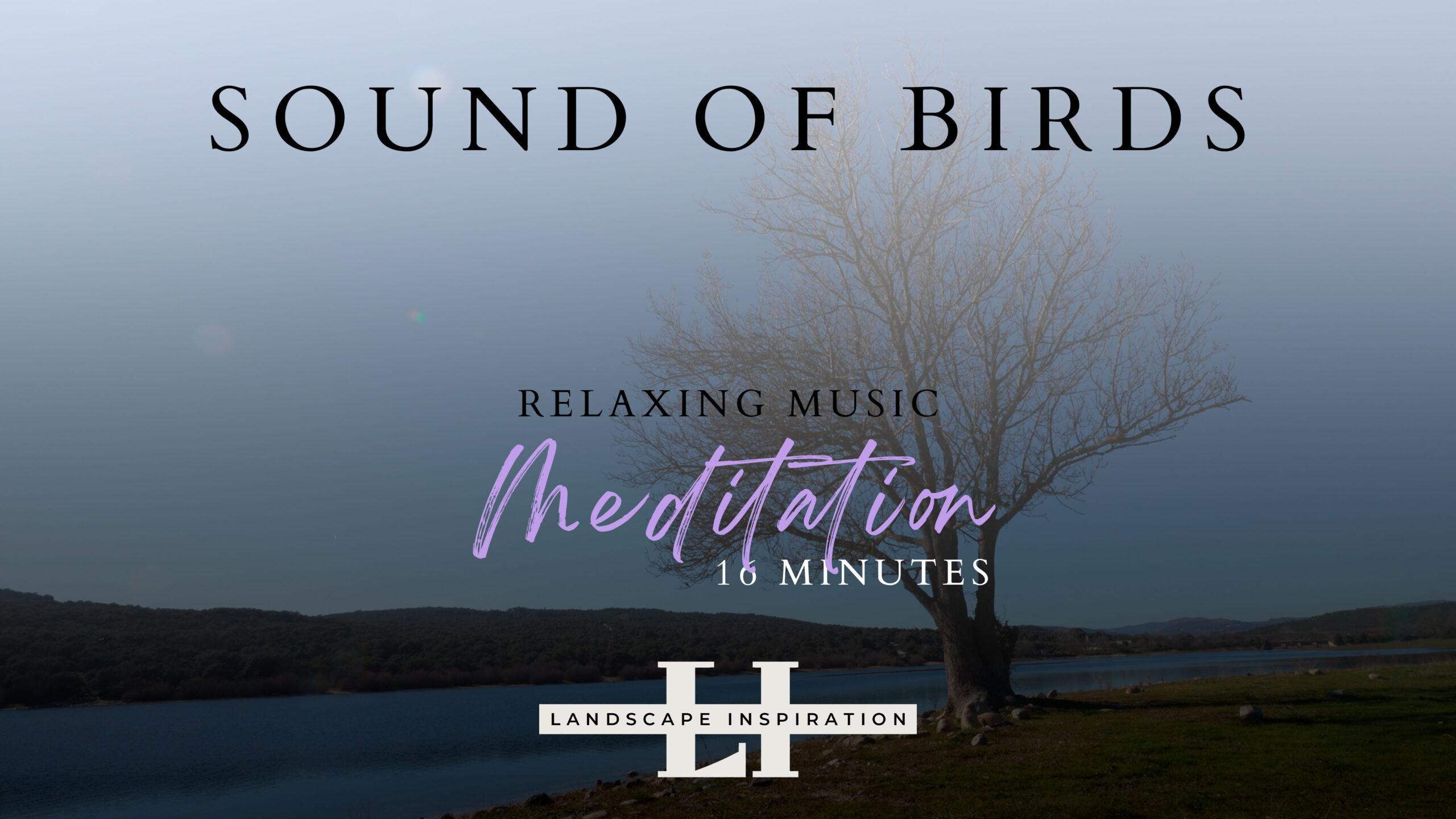 Sound of Birds- Relaxing Music at Embalse de Santillana
